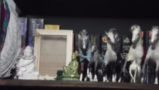 This is on a bookshelf on the West wall. Quan Yin sits here, with what will become the Water shrine. Also seen here are some of my Grand Champion horses.